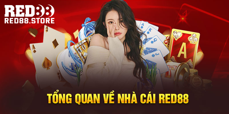 Điều gì khiến Dt68 khác biệt so với các công ty game khác? - Dt68