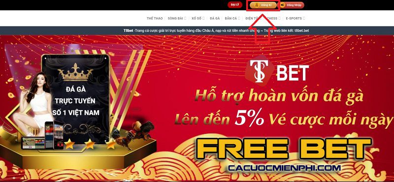 Vesovn có giấy phép hợp lệ không? - Vesovn