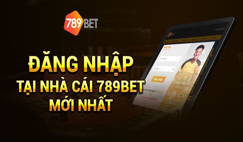 Đánh giá an toàn 789P - 789P