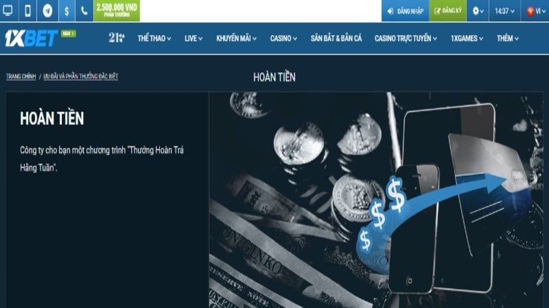 Tại sao người chơi lại chọn chơi một trò chơi câu cá có xếp hạng Oxbet? - Oxbet