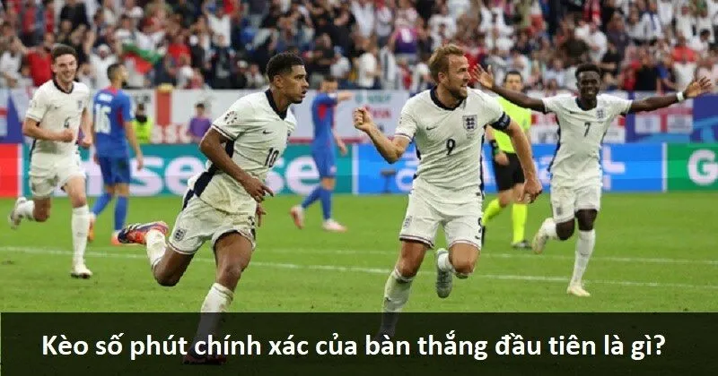 Mẹo cá cược trực tuyến cấp độ 79Win dành cho người mới bắt đầu để dễ dàng kiếm tiền - 79Win
