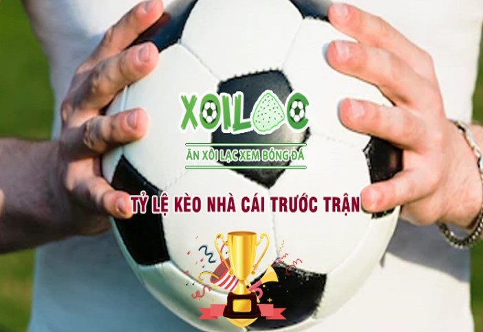 Các phương pháp để giảm thiểu các vấn đề gây cản trở truy cập vào các liên kết B8b - B8b