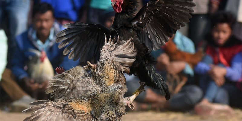 88Uu có một số hoạt động quảng bá khá thú vị - 88Uu