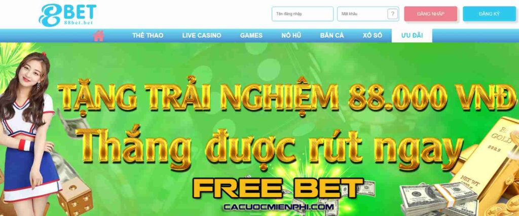 Haywin có phải là trang web cá cược bóng đá trực tuyến đáng tin cậy nhất hiện nay không? - Haywin