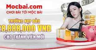 Điều gì làm cho các sản phẩm Vaobo88 trở nên khác biệt? - Vaobo88