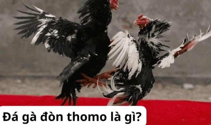 Ưu điểm của dịch vụ Vnd188 - Vnd188