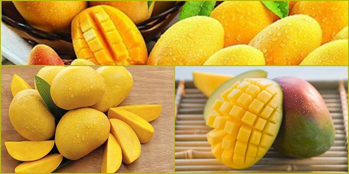 Nhận tới 35% tiền hoàn lại khi đặt cược trên ứng dụng Pg88 - Pg88