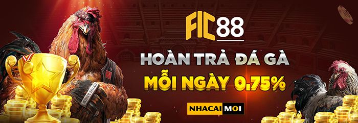 Các sản phẩm phổ biến nhất trong hạng G6bet - G6bet